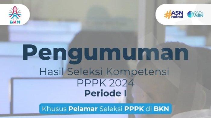 BKN Ungkap Penyebab Hasil Kelulusan PPPK Tahap 1 belum dapat Dilihat di Akun SSCASN