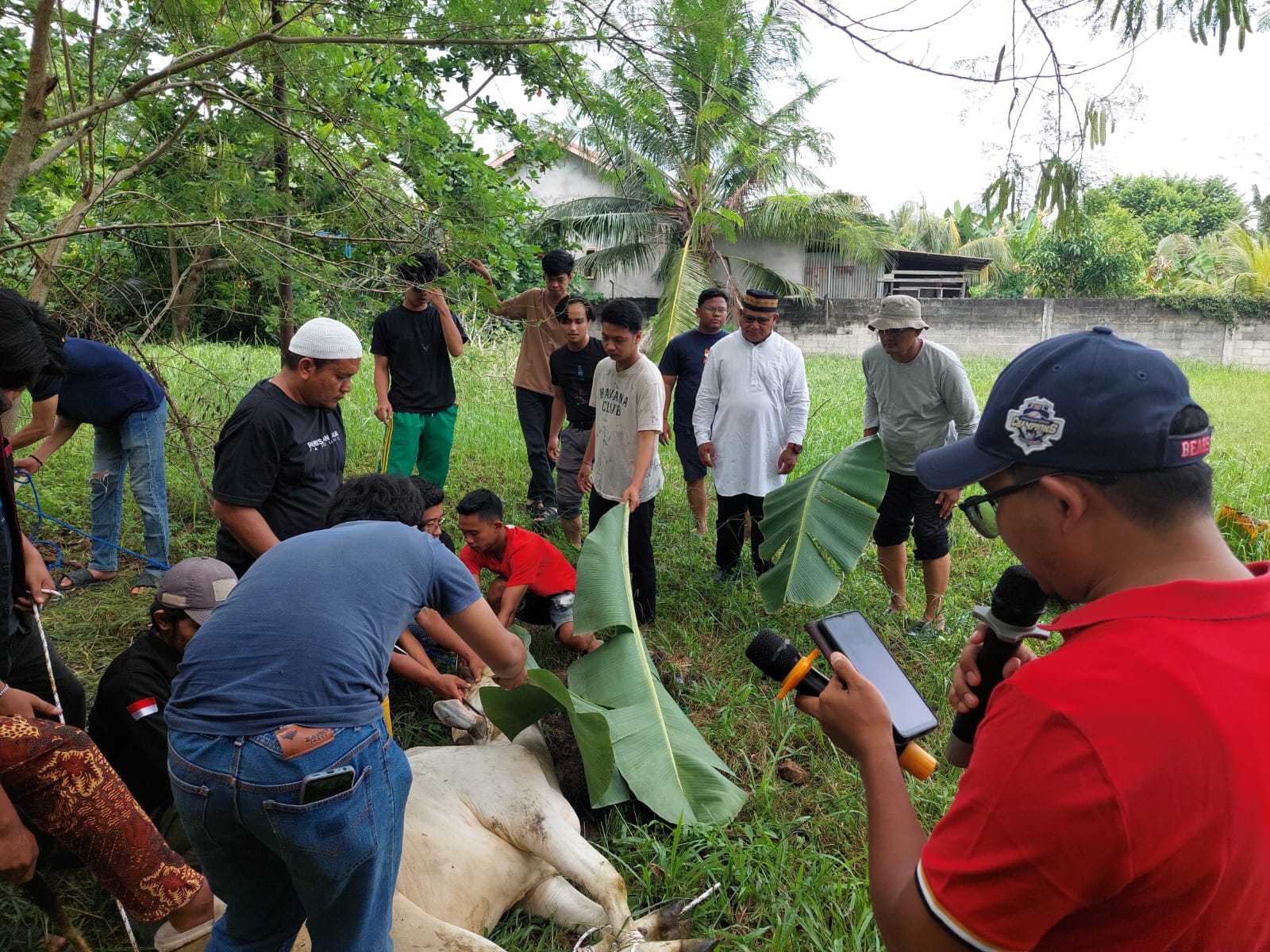 STT Dumai Gelar Pemotongan 6 Ekor Sapi Qurban: Kolaborasi Dosen Tetap dan YLPI Dumai Meriahkan Idul Adha 2025