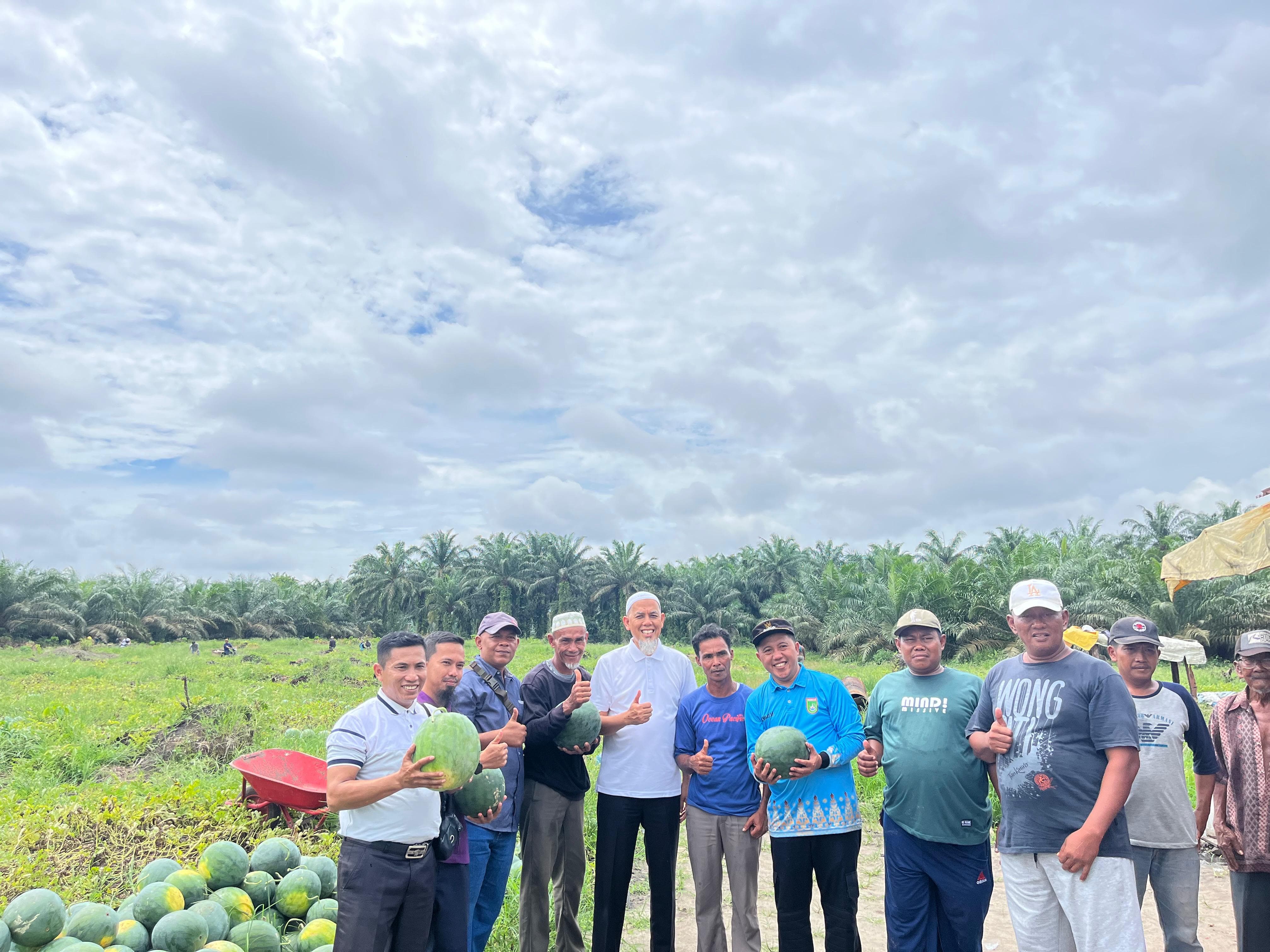 PANEN SEMANGKA BERSAMA WALI KOTA DUMAI: WUJUD DUKUNGAN PEMERINTAH TERHADAP PETANI HORTIKULTURA